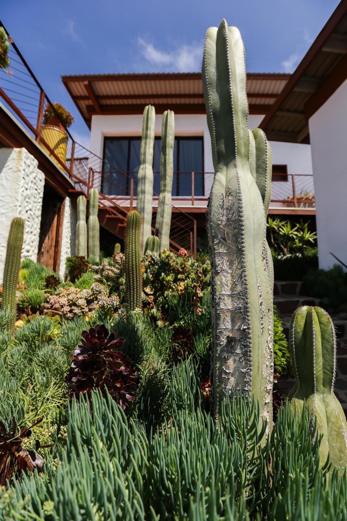 Native Residence Rosarito Exterior photo